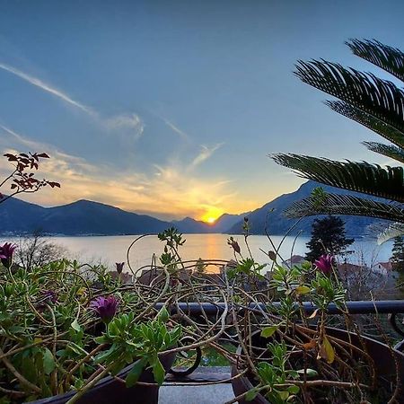 Apartment Terazza Di Ljuta Kotor Ngoại thất bức ảnh
