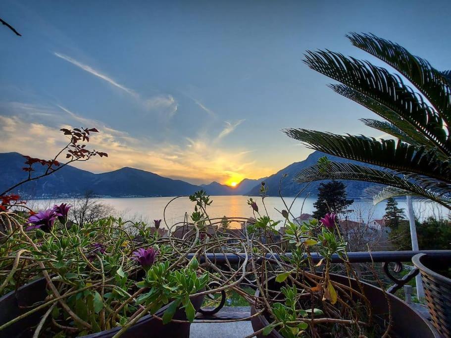 Apartment Terazza Di Ljuta Kotor Ngoại thất bức ảnh