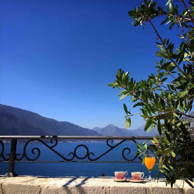 Apartment Terazza Di Ljuta Kotor Ngoại thất bức ảnh