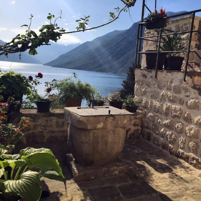 Apartment Terazza Di Ljuta Kotor Ngoại thất bức ảnh