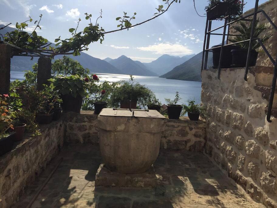 Apartment Terazza Di Ljuta Kotor Ngoại thất bức ảnh
